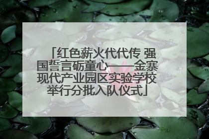 红色薪火代代传 强国誓言砺童心——金寨现代产业园区实验学校举行分批入队仪式