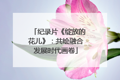 纪录片《绽放的花儿》：共绘融合发展时代画卷
