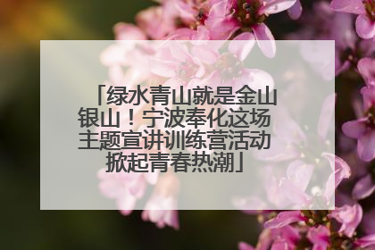 绿水青山就是金山银山！宁波奉化这场主题宣讲训练营活动掀起青春热潮