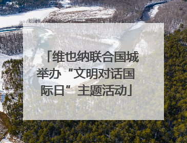 维也纳联合国城举办“文明对话国际日”主题活动