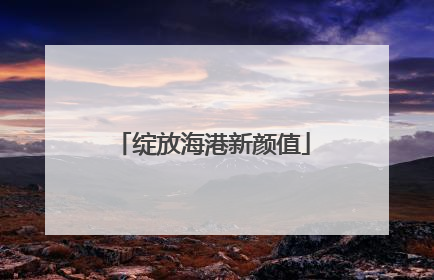 绽放海港新颜值