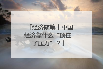 经济随笔丨中国经济靠什么“顶住了压力”？