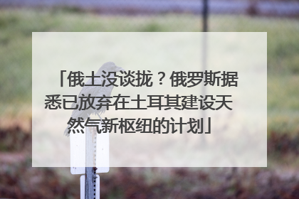 俄土没谈拢？俄罗斯据悉已放弃在土耳其建设天然气新枢纽的计划