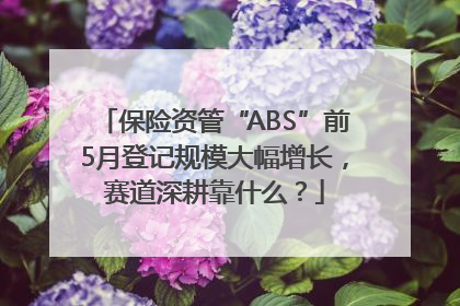 保险资管“ABS”前5月登记规模大幅增长，赛道深耕靠什么？