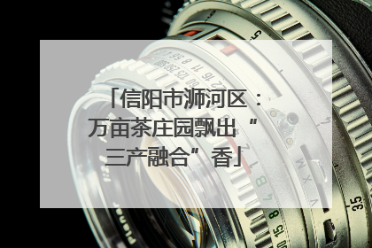 信阳市浉河区：万亩茶庄园飘出“三产融合”香