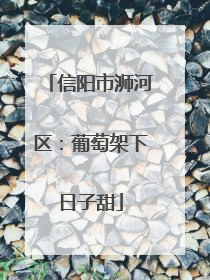 信阳市浉河区：葡萄架下日子甜