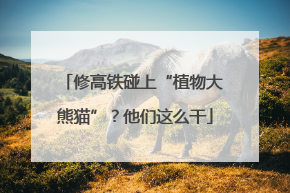 修高铁碰上“植物大熊猫”？他们这么干