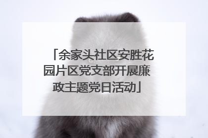 余家头社区安胜花园片区党支部开展廉政主题党日活动