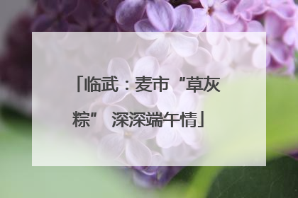 临武：麦市“草灰粽” 深深端午情