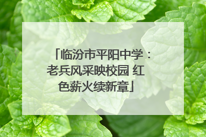 临汾市平阳中学：老兵风采映校园 红色薪火续新章