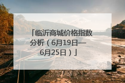 临沂商城价格指数分析（6月19日—6月25日）