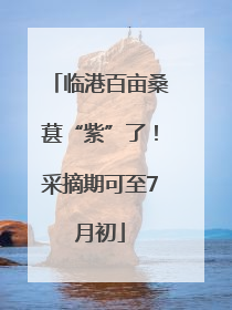 临港百亩桑葚“紫”了！采摘期可至7月初