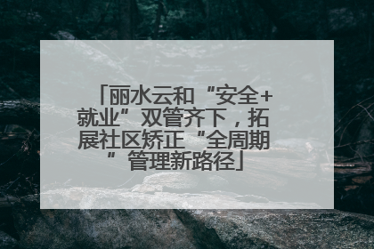 丽水云和“安全+就业”双管齐下，拓展社区矫正“全周期”管理新路径