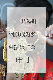 一片绿叶何以成为乡村振兴“金叶”