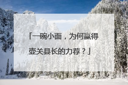 一碗小面，为何赢得壶关县长的力荐？