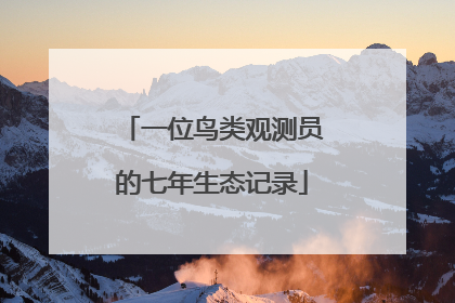 一位鸟类观测员的七年生态记录