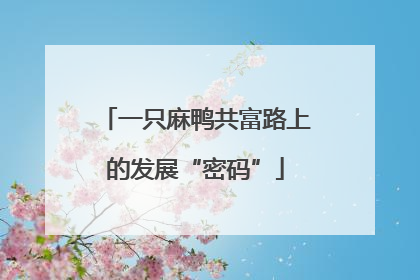 一只麻鸭共富路上的发展“密码”
