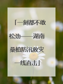 一刻都不敢松劲——湖南桑植防汛救灾一线直击