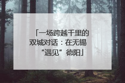 一场跨越千里的双城对话：在无锡“遇见”德阳