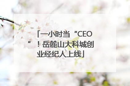 一小时当“CEO”！岳麓山大科城创业经纪人上线