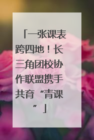 一张课表跨四地！长三角团校协作联盟携手共育“青课”
