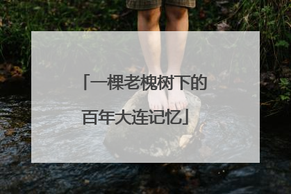 一棵老槐树下的百年大连记忆