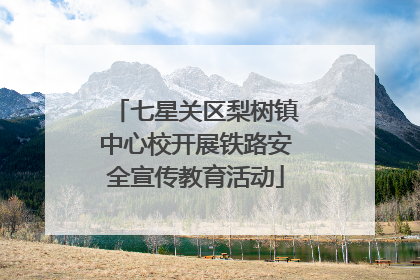 七星关区梨树镇中心校开展铁路安全宣传教育活动
