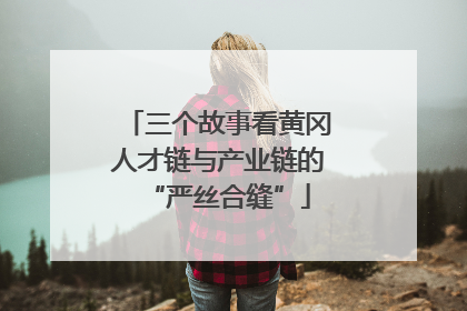 三个故事看黄冈人才链与产业链的“严丝合缝”