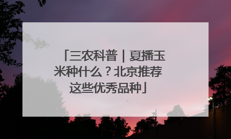 三农科普｜夏播玉米种什么？北京推荐这些优秀品种