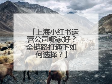 上海小红书运营公司哪家好？全链路打通下如何选择？