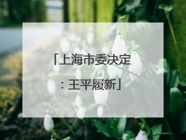 上海市委决定：王平履新