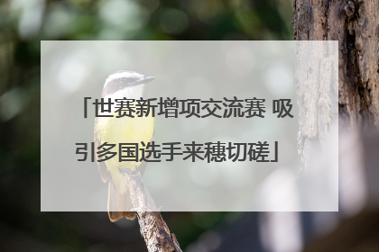 世赛新增项交流赛 吸引多国选手来穗切磋