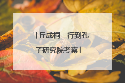 丘成桐一行到孔子研究院考察