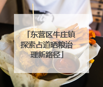 东营区牛庄镇探索占道晒粮治理新路径
