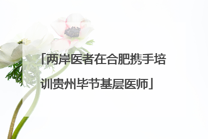 两岸医者在合肥携手培训贵州毕节基层医师