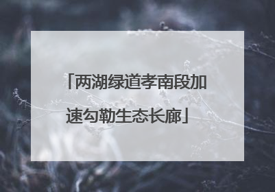 两湖绿道孝南段加速勾勒生态长廊