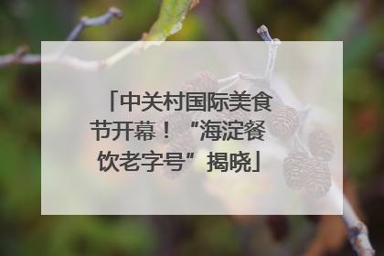 中关村国际美食节开幕！“海淀餐饮老字号”揭晓