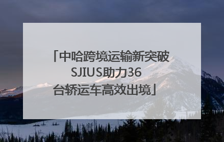 中哈跨境运输新突破 SJIUS助力36台轿运车高效出境
