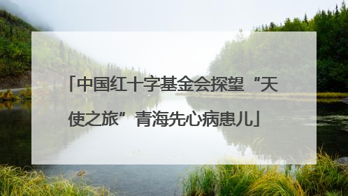 中国红十字基金会探望“天使之旅”青海先心病患儿