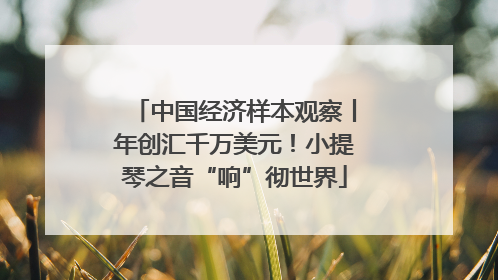 中国经济样本观察丨年创汇千万美元！小提琴之音“响”彻世界