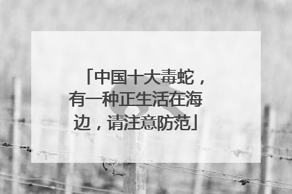 中国十大毒蛇，有一种正生活在海边，请注意防范