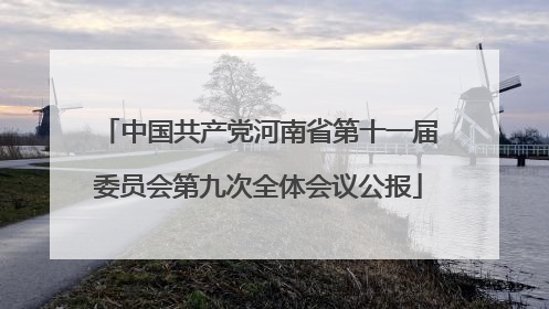 中国共产党河南省第十一届委员会第九次全体会议公报