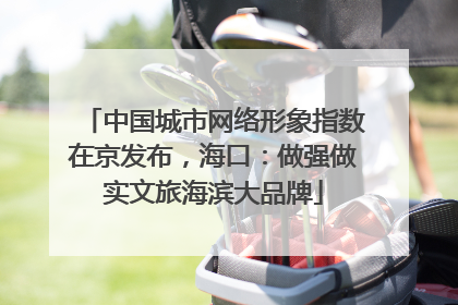 中国城市网络形象指数在京发布，海口：做强做实文旅海滨大品牌