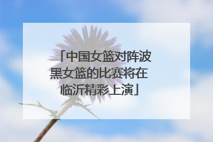 中国女篮对阵波黑女篮的比赛将在临沂精彩上演