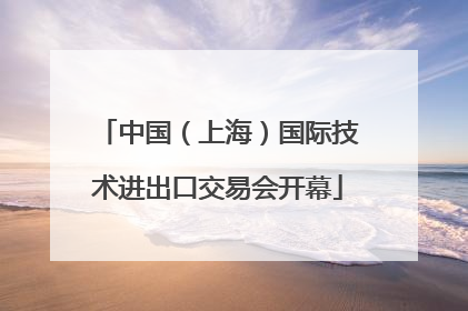 中国（上海）国际技术进出口交易会开幕