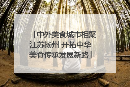 中外美食城市相聚江苏扬州 开拓中华美食传承发展新路