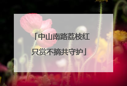 中山南路荔枝红 只赏不摘共守护