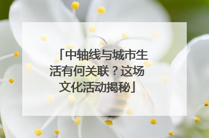 中轴线与城市生活有何关联？这场文化活动揭秘