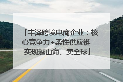 丰泽跨境电商企业：核心竞争力+柔性供应链 实现越山海、卖全球