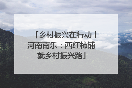 乡村振兴在行动丨河南南乐：西红柿铺就乡村振兴路